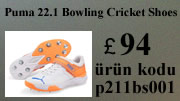 puma 22.1 bowling kriket ayakkabısı